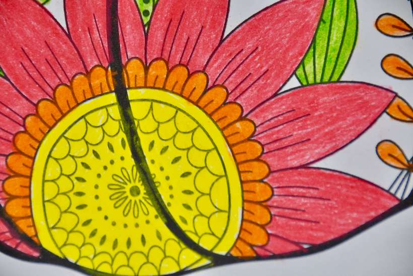 Colorful flower part of an easy pumpkin zentangle coloring page.