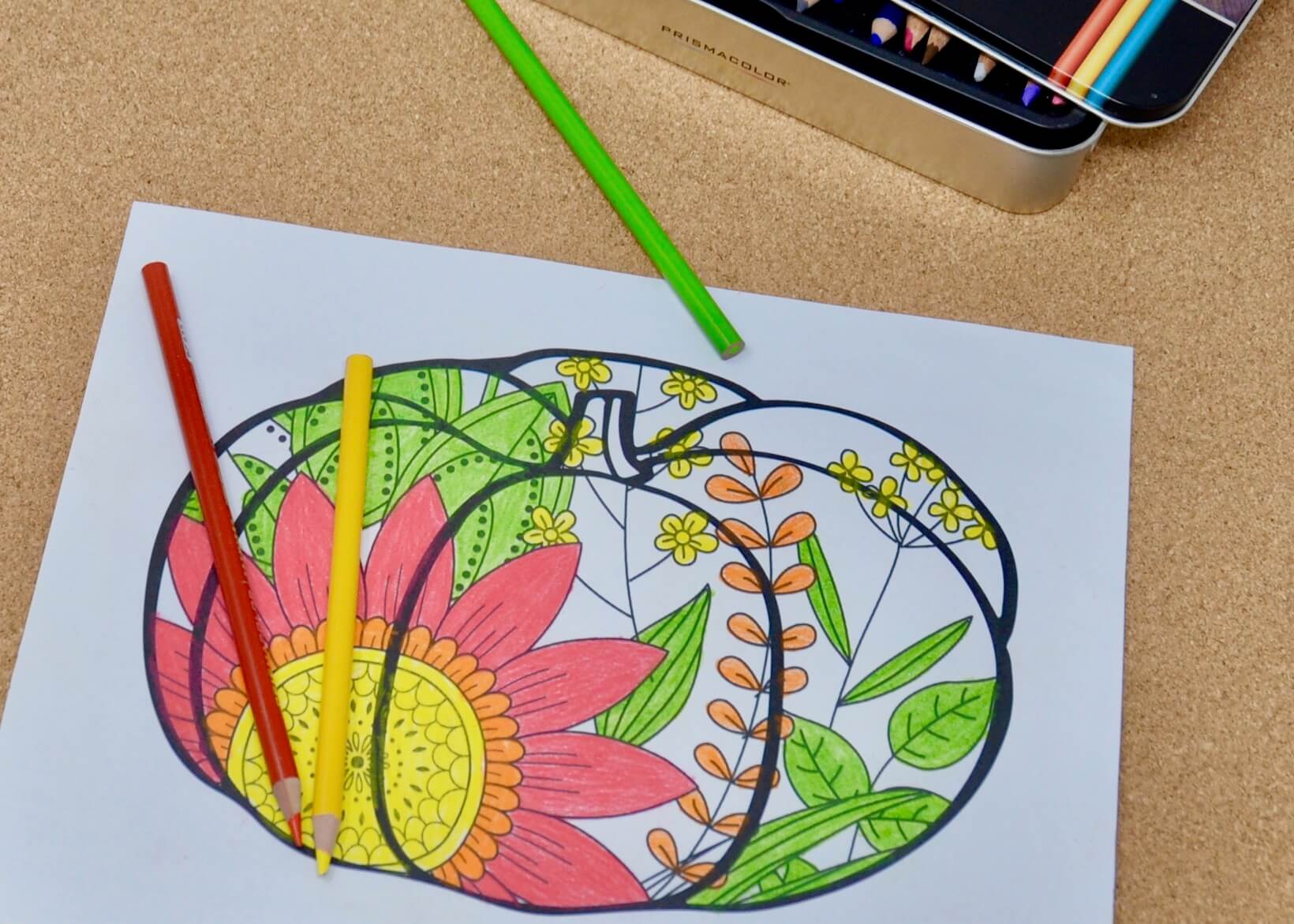 Simplified zentangle pumpkin colored by dementia patient.