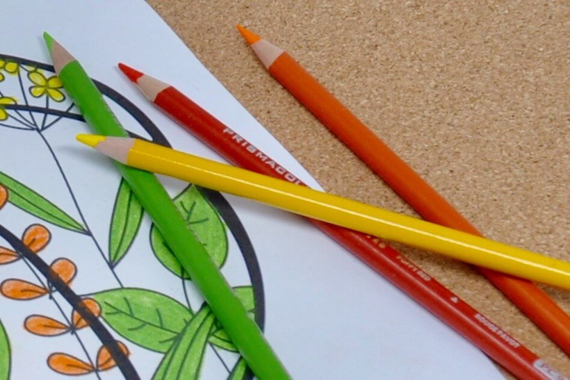 Colored pencils for dementia coloring activity.