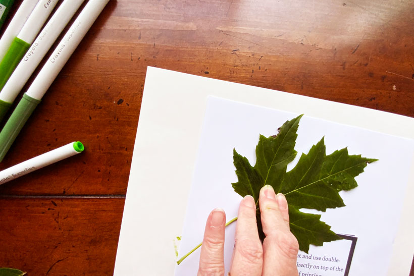 Leaf printing dementia craft